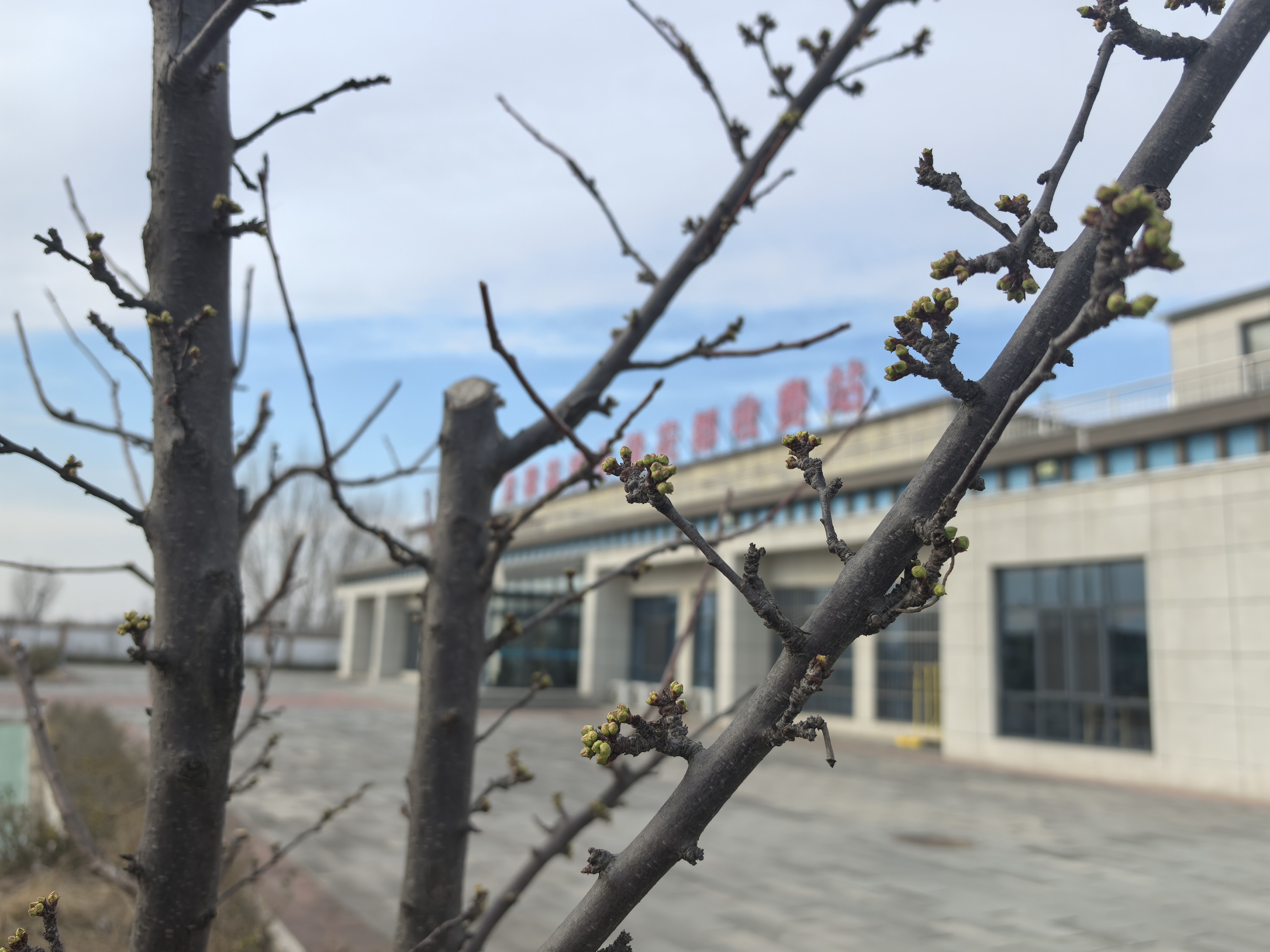 微信图片_20260319165940_7_273.jpg